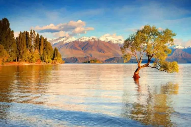純享紐西蘭～庫克山國家公園、皇后天際纜車、雙洞穴螢火蟲、奧克蘭天空之塔10日