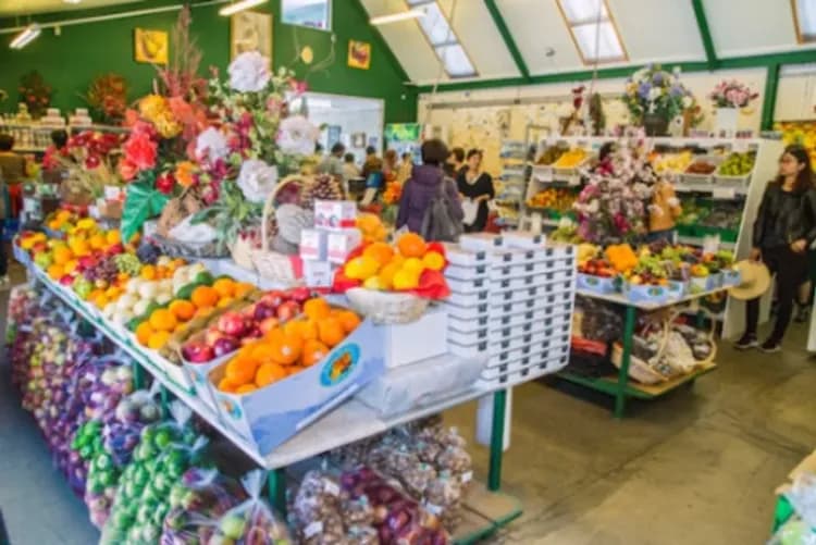 純享紐西蘭～庫克山國家公園、皇后天際纜車、雙洞穴螢火蟲、奧克蘭天空之塔10日-6