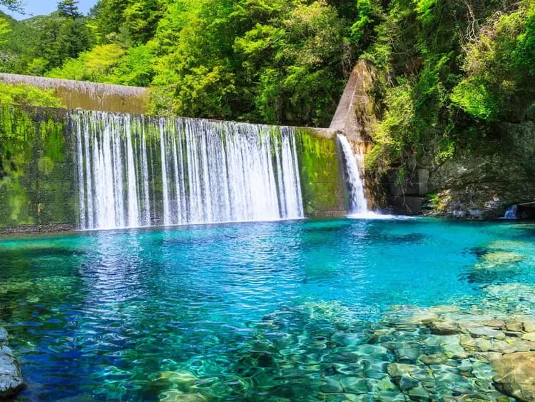 【高知郵輪岸上觀光】高知港出發包車自由行 1～7小時｜港邊接送・1-9人郵輪自由行-12