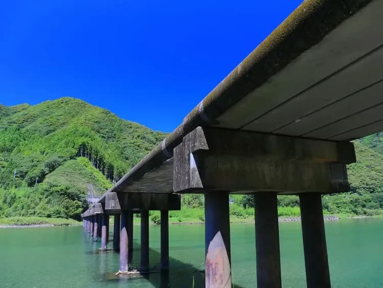 【高知郵輪岸上觀光】高知港出發包車自由行 1～7小時｜港邊接送・1-9人郵輪自由行-11