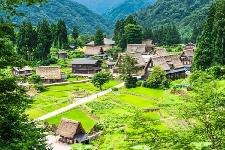 【限時限量】北陸花漾6日.濱松四季花卉.長良川田園鐵道.食品DIY體驗.白川鄉合掌村.入住一晚下呂溫泉-6