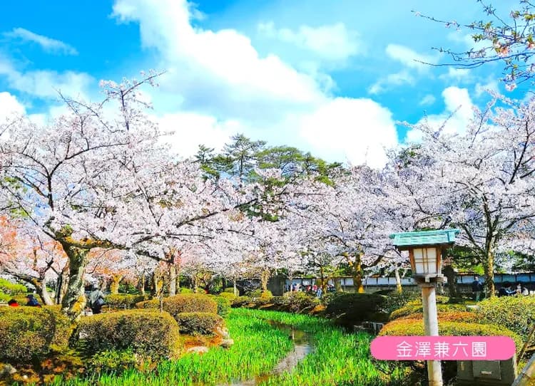 超值夢幻漫步立山黑部6日.飛駝高山古街.白川鄉合掌村.兼六園.惠那峽遊船.採果樂.溫泉饗宴-5