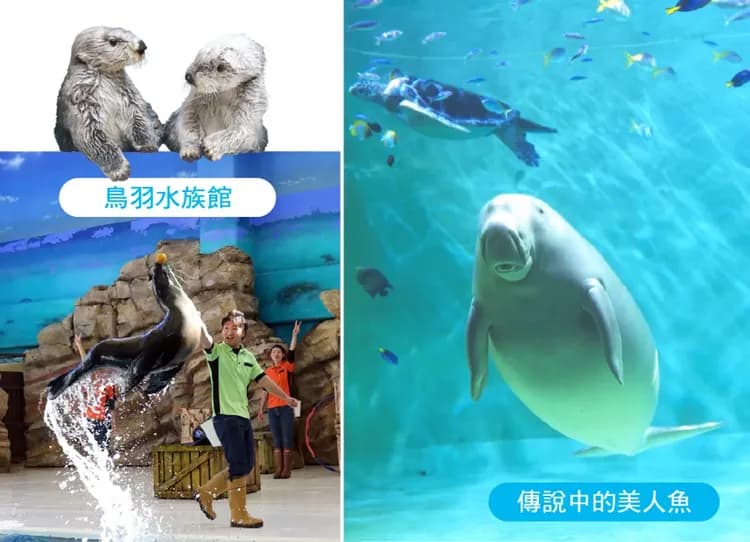FUN暑假北陸玩樂5日.F1鈴鹿賽車道體驗.樂高樂園.鳥羽水族館.御在所纜車.伊勢神宮.松阪牛料理-6