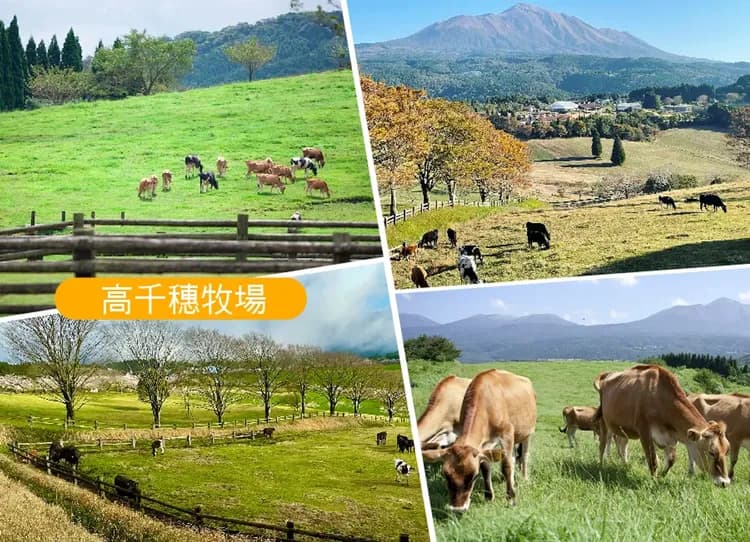 限時促銷南北九州雙電車5日.櫻島渡輪.磯庭園.高千穗牧場.柳川遊船.萌熊電車.熊本城彩苑.水炊鍋(鹿兒島進福岡出)-6