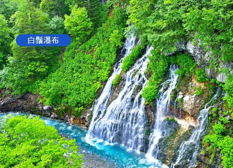 線上旅展蔚藍北海道5日.富良野彩虹花田.積丹半島.美瑛秘境青池.白色戀人庭園.浪漫小樽.奇幻燈遊步道.三大螃蟹吃到飽-5