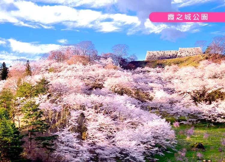 東北櫻花百選溫泉5日.安達太良空中纜車.會津鐵道.白石川堤一目千本櫻.松島遊船.藍寶石水族館.採果樂.燒肉吃到飽
