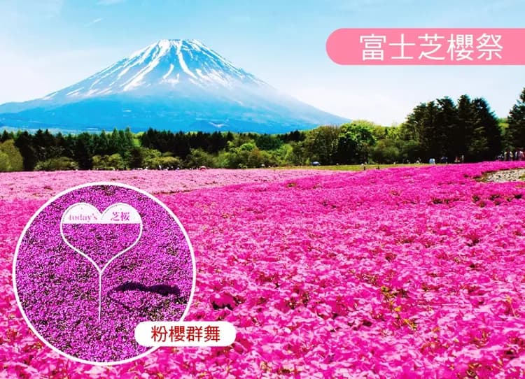 高雄出發絕美雪牆之戀6日.黑部立山.富士芝櫻.足利紫藤.上高地.米其林合掌村.輕井澤.雙溫泉