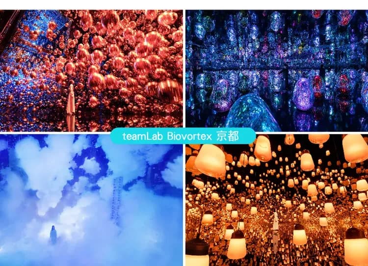 【出清一口價】泰饗趣花現三都5日.一晚五星.teamlab京都.璀璨花海.清水寺.嵐山叮叮車.螃蟹和牛龍蝦(泰獅)