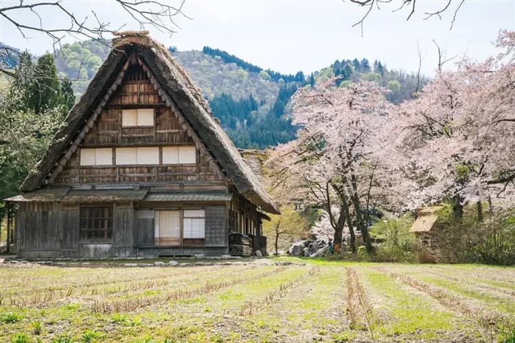 北陸旅遊～立山黑部雪壁・上高地輕健行｜保住名古屋萬怡.黑部峽谷鐵道小火車.童話合掌村~古民家入內.飛驒高山.雙溫泉五日