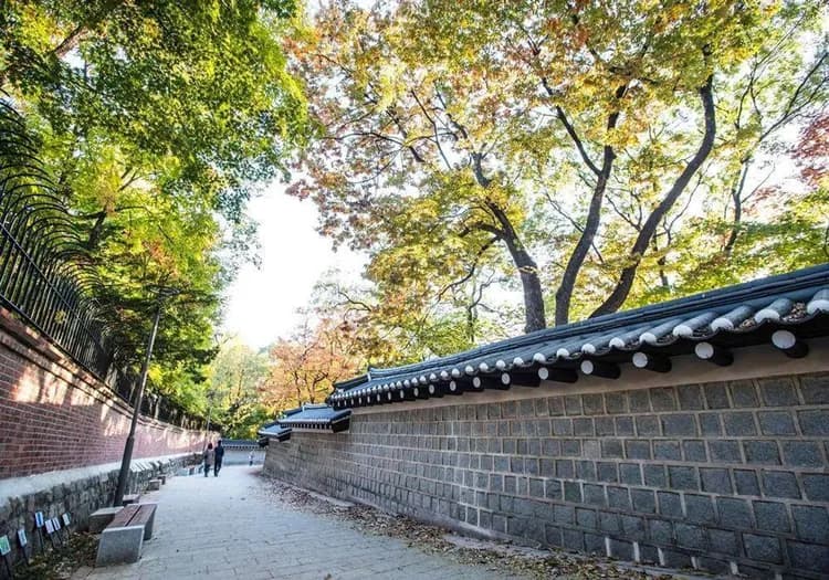花現櫻花｜首爾｜雪嶽山國立公園．加平櫻花隧道．南怡島美境．鬼怪谷公園_展望臺滑梯體驗．三岳山纜車(二站人蔘彩妝)五日｜高雄-5