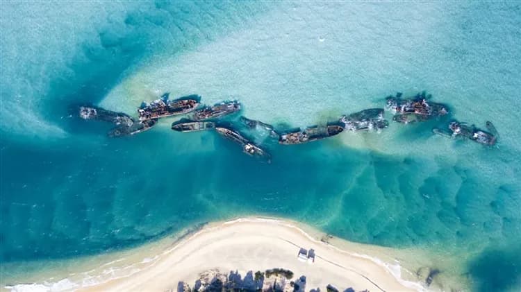 澳洲旅遊｜《小孩不佔床扣一萬》入住海豚島度假村2晚·季節賞鯨·滑沙快感·親餵可愛海豚·擁抱無尾熊·酒莊·黃金親子9日