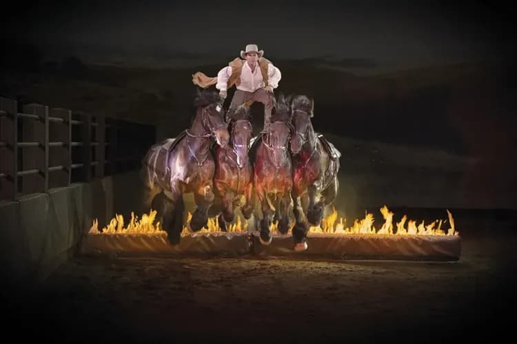 澳洲旅遊｜《小孩不佔床扣一萬》黃金海岸三樂園·親牽羊駝·牛仔很忙曠野馴馬秀·俯瞰絕美海岸線·擁抱無尾熊·超嗨放電黃金7日-7