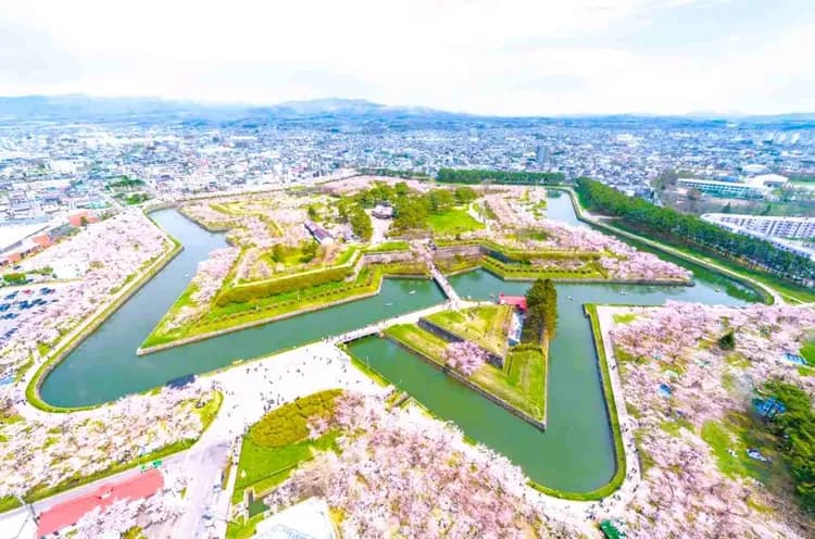 ShutterStock\北海道-賞櫻最前線～五稜郭城跡．登塔眺望五稜星芒