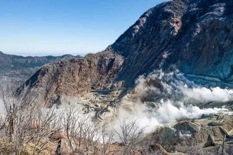 照片取自官網-箱根大涌谷(送長壽蛋)