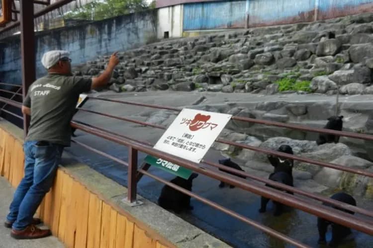 奧飛驒熊牧場