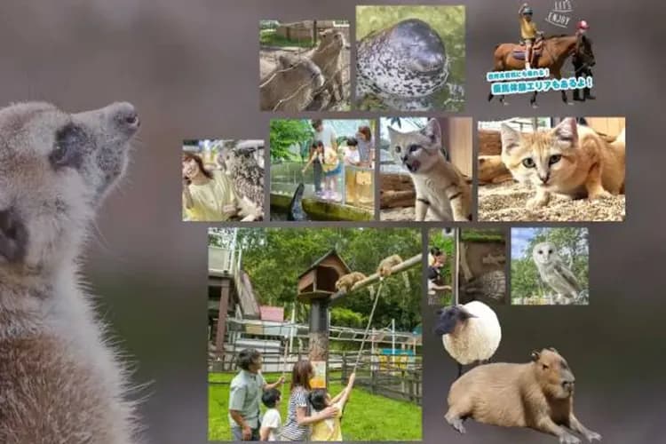 【北陸FUN暑假、兒童不佔減1萬】牧歌之里火車、奧飛驒熊牧場、動物森林樂園、兩晚百選溫泉池之平五日-6