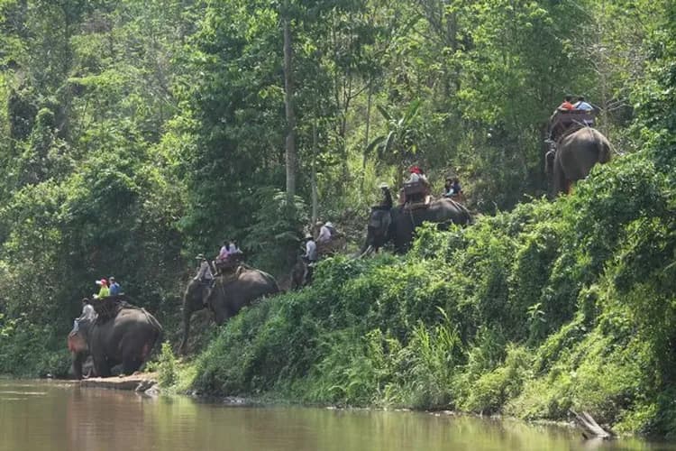 湄登象園(騎大象、大象表演、長頸族村)