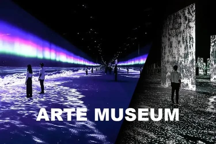 江陵ARTE MUSEUM