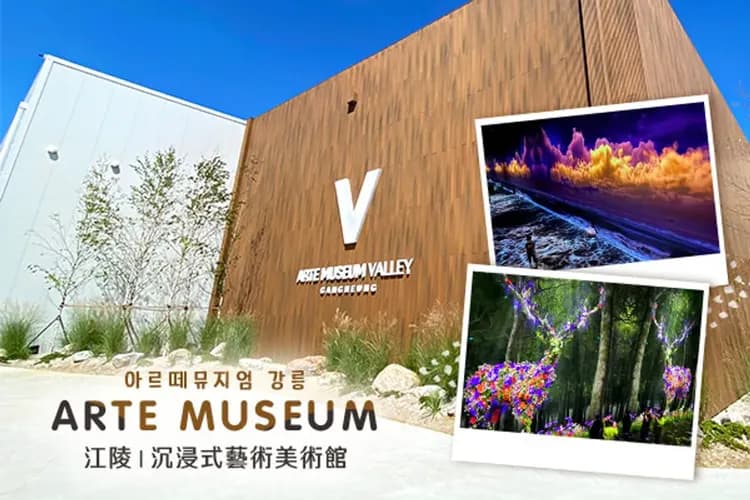 江陵ARTE MUSEUM