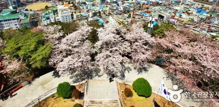 釜慶櫻繽紛～鎮海櫻花祭、極限挑戰體驗、水營江遊艇、樂華茲設計旅店五日-8