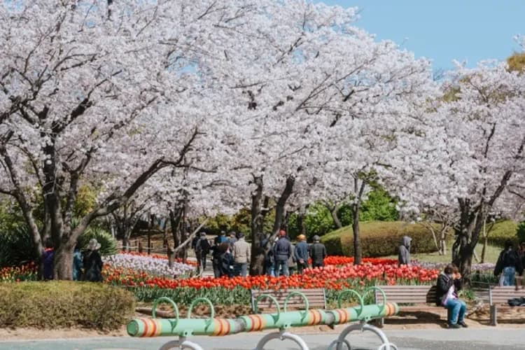 Chill玩釜山～鎮海櫻花祭、春日野餐趣、海景汗蒸幕、海邊露營車烤肉三日-6