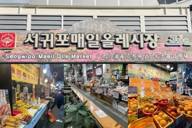 西歸浦-每日偶來市場-IG熱門景點