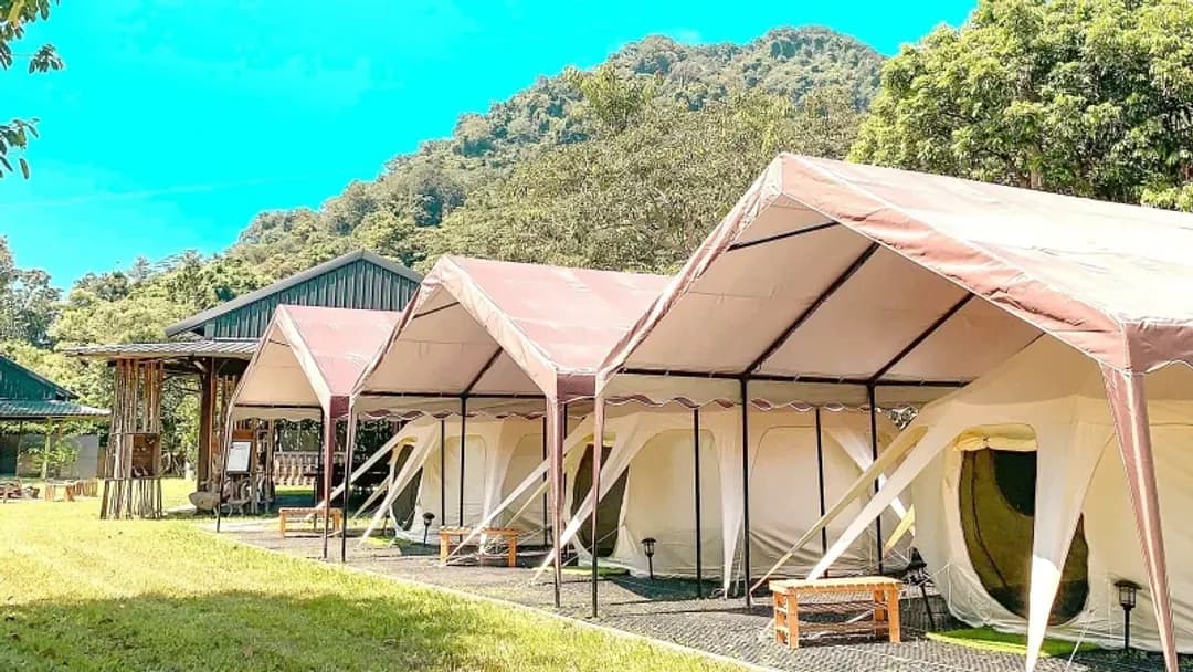 南投縣-享聚山境露營區｜全新上架！一泊三食、獨立衛浴、手作擴香石體驗