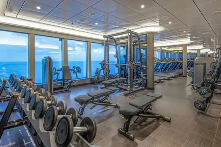 (單訂船艙)【星夢郵輪 Genting Dream】雲頂夢號～新加坡、 曼谷（泰國）、蘇梅島（泰國）6天5夜(週日出發)｜新加坡登船。-16