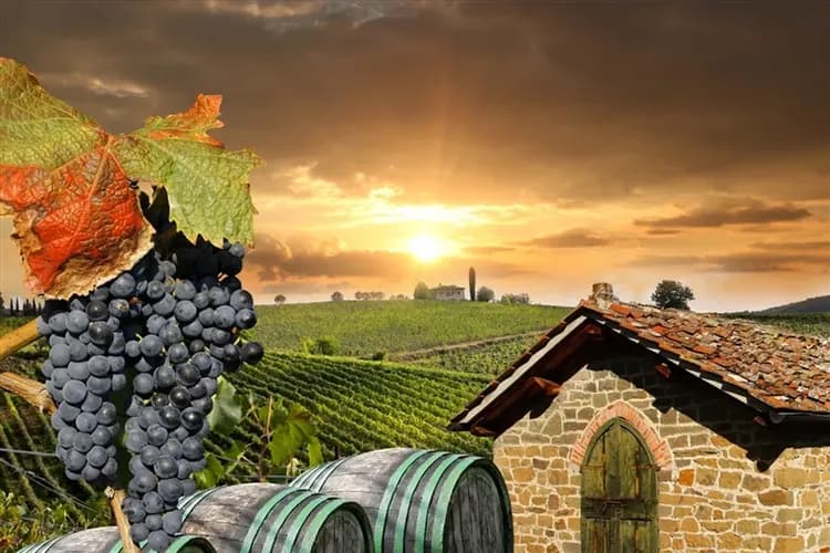 春遊折3000│經典義大利│米蘭攻頂．百花聖殿登頂．花神咖啡館．浪漫雙遊船．托斯卡尼品酒．饗食米其林．三大城連泊10日-11