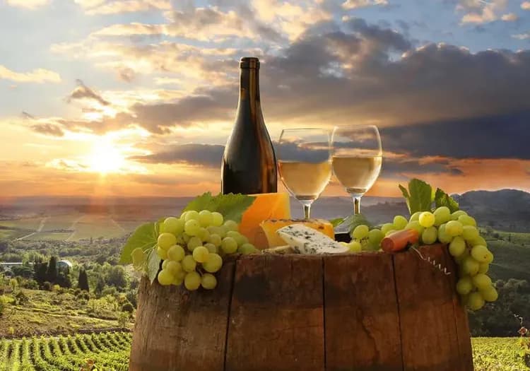 托斯卡尼,托斯卡尼品酒,托斯卡尼酒莊,wine tour,wine taesting,義大利旅遊