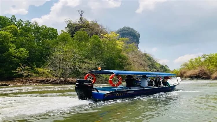 麒麟河紅樹林生態之旅