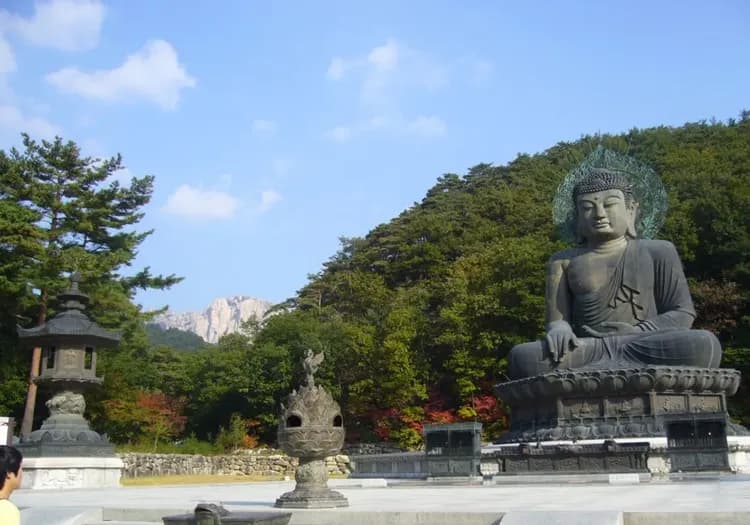 花現櫻花｜首爾｜雪嶽山國立公園．加平櫻花隧道．南怡島美境．鬼怪谷公園_展望臺滑梯體驗．三岳山纜車(一站購物彩妝)五日｜高雄-6