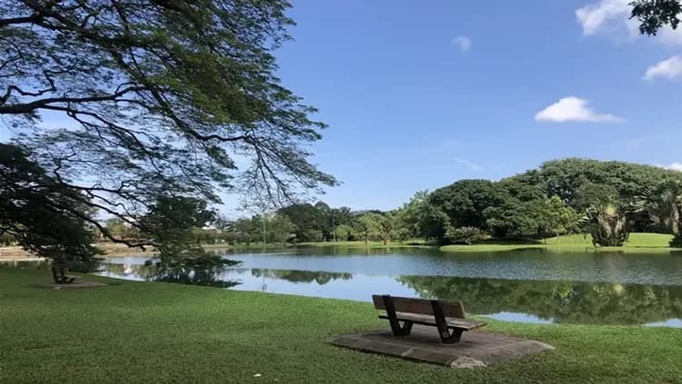 太平湖濱公園