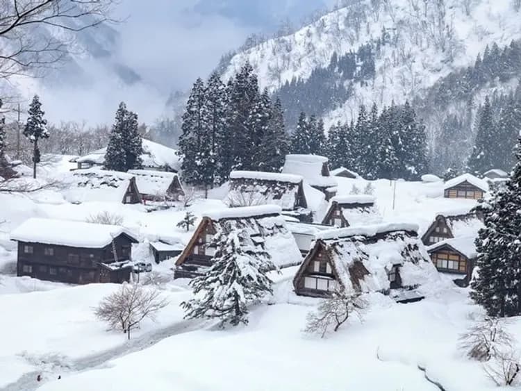 【金澤郵輪岸上觀光】白川鄉合掌村文化遺產巡禮包車一日遊・6小時｜金澤港邊接送・1-9人郵輪自由行-7