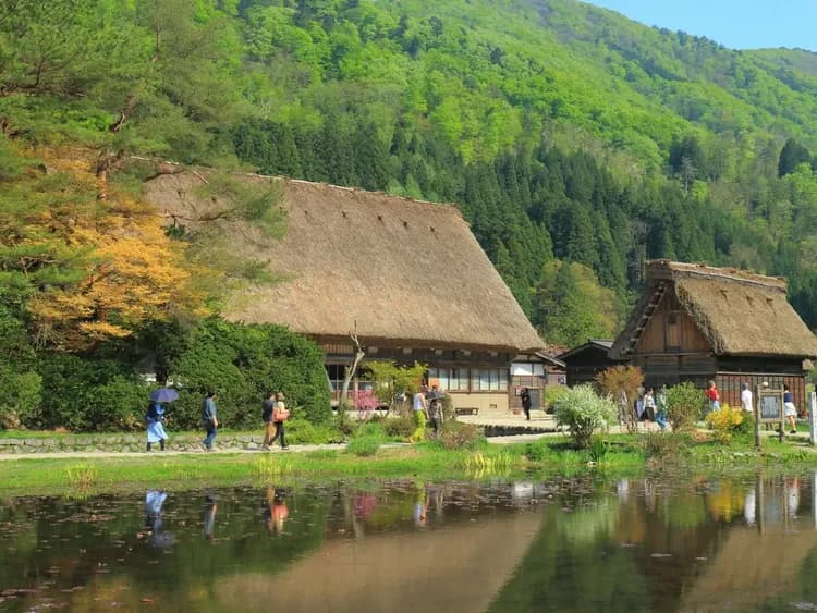 【金澤郵輪岸上觀光】白川鄉合掌村文化遺產巡禮包車一日遊・6小時｜金澤港邊接送・1-9人郵輪自由行-8