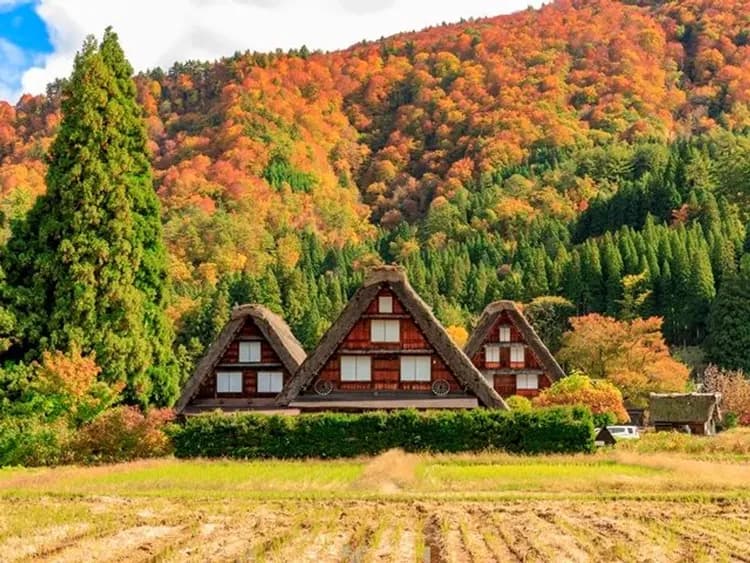 【金澤郵輪岸上觀光】白川鄉合掌村文化遺產巡禮包車一日遊・6小時｜金澤港邊接送・1-9人郵輪自由行-9