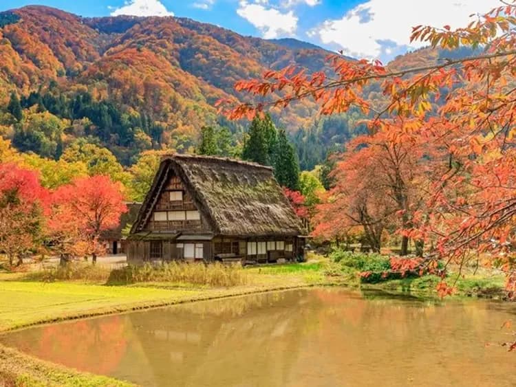 【金澤郵輪岸上觀光】白川鄉合掌村文化遺產巡禮包車一日遊・6小時｜金澤港邊接送・1-9人郵輪自由行-10