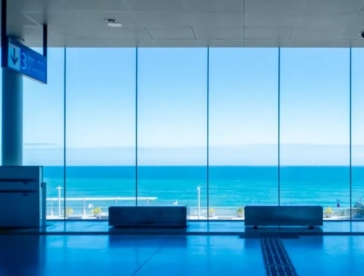 【茨城賞櫻一日遊】雨引觀音千本櫻・日立櫻花祭・絕美海上玻璃車站｜東京出發-5