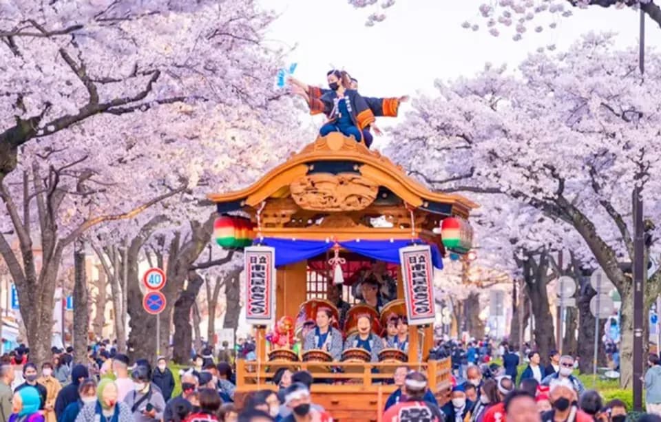 asiayo 2026東京出發賞櫻一日遊推薦