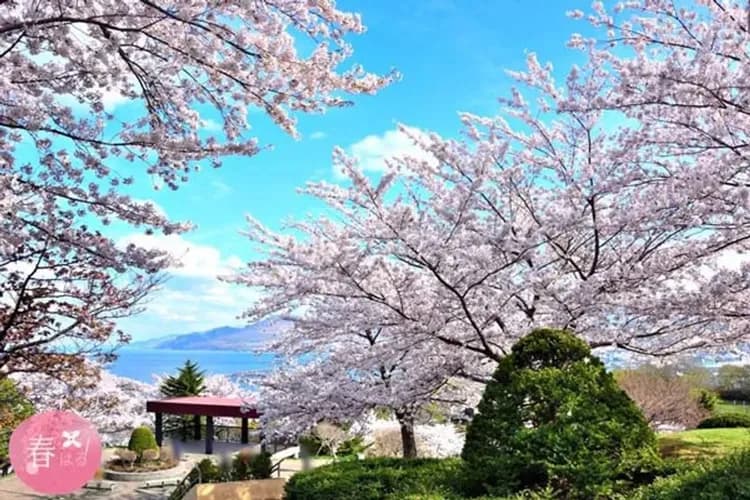 北海道和牛溫泉祭～春櫻浪漫物語、積丹遊覽船、小樽運河旅情、洞爺湖花火會五日