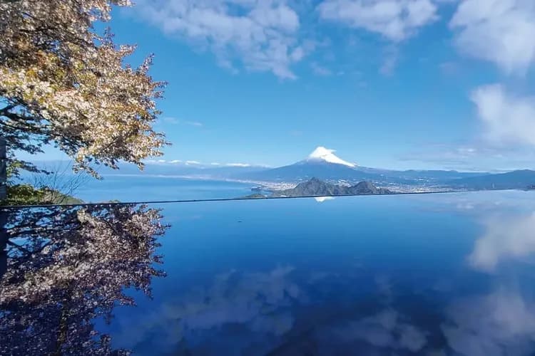 圖片取自伊豆全景公園官網-伊豆全景公園(纜車+碧露台)