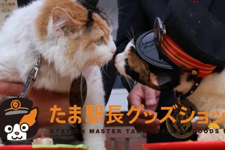 和歌山電鐵(貴志川線；伊太祈曾++貴志；約10分鐘)