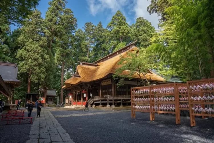 小東北漫遊