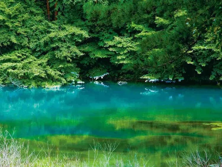 夢幻高原五色沼