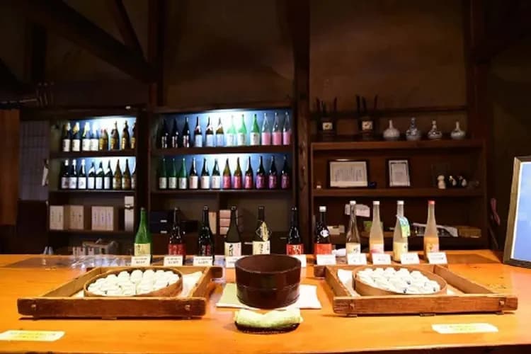 東北經典物語～猊鼻溪渡輕舟、秋田縱貫鐵道、大內宿合掌村、松島銀山溫泉六日-9