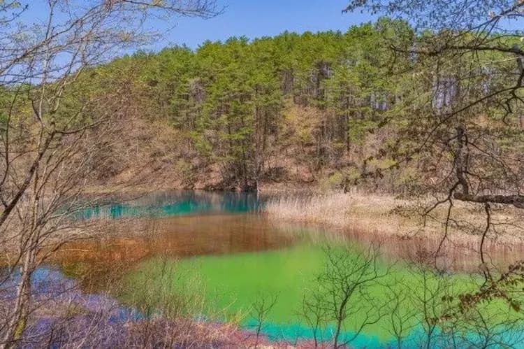 夢幻高原五色沼