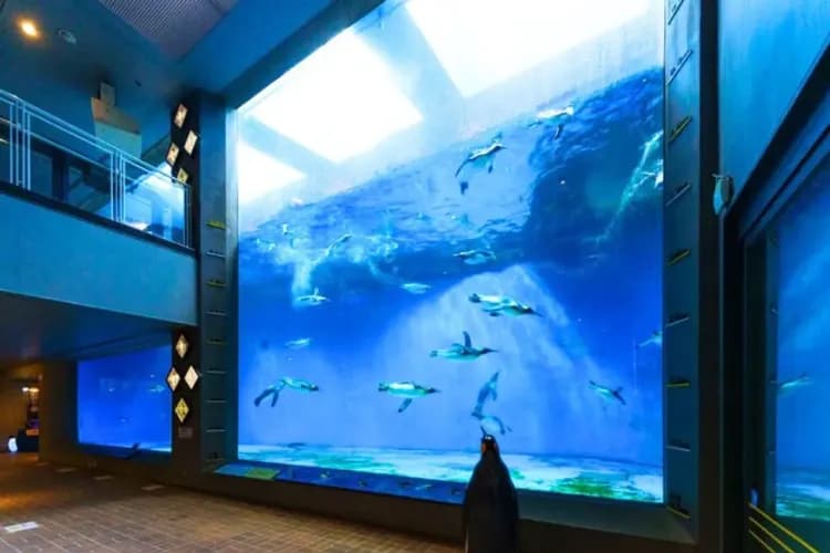 長崎企鵝水族館