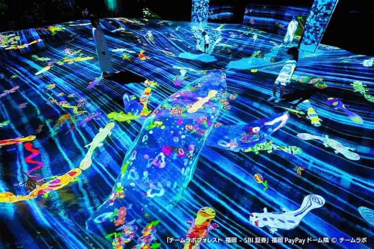 写真提供：チームラボ/禁止轉載-teamLab Forest Fukuoka 仲夏森林