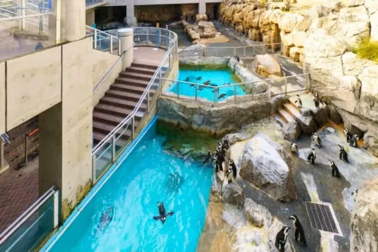 長崎企鵝水族館