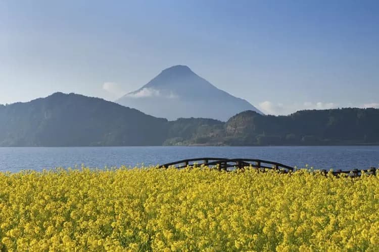 TXG南九州秘境～櫻島戀篤姬、起源神話之鄉、日南太陽花園、指宿玉手箱列車六日-6